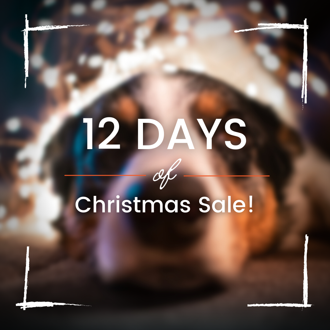 12 Days of Christmas Sale (14)