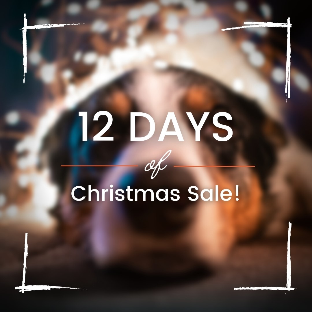 12 Days of Christmas Sale