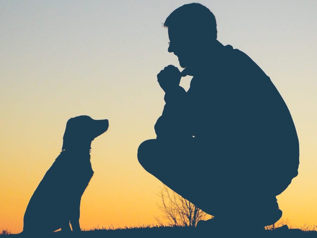 Peace-of-Mind-Puppy-Trained-Dogs-for-Sale