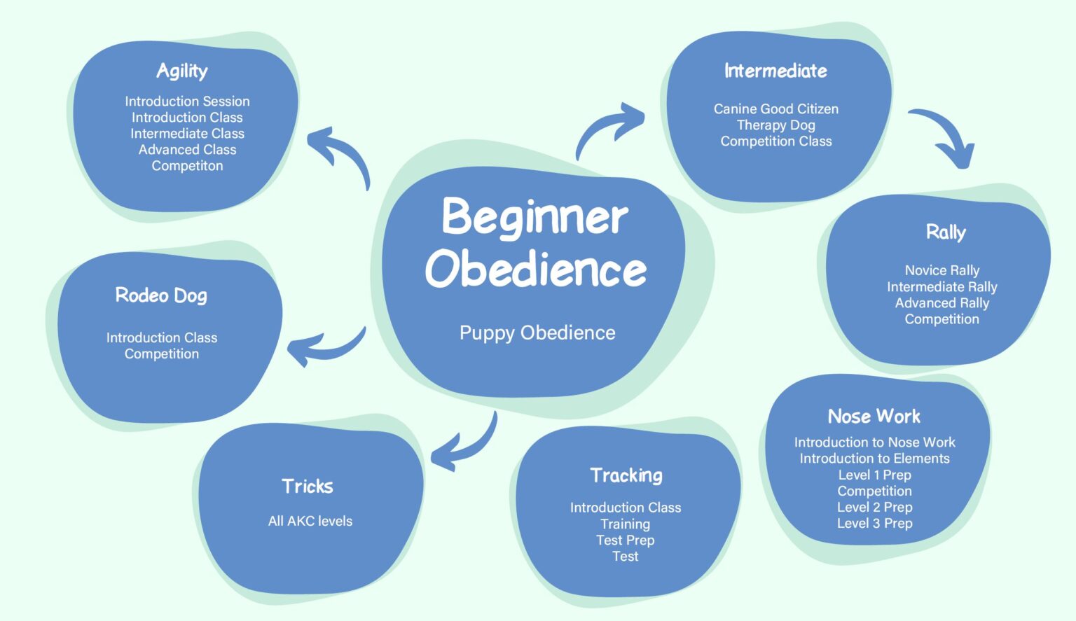 Dog Training Sit Stay 'n Play