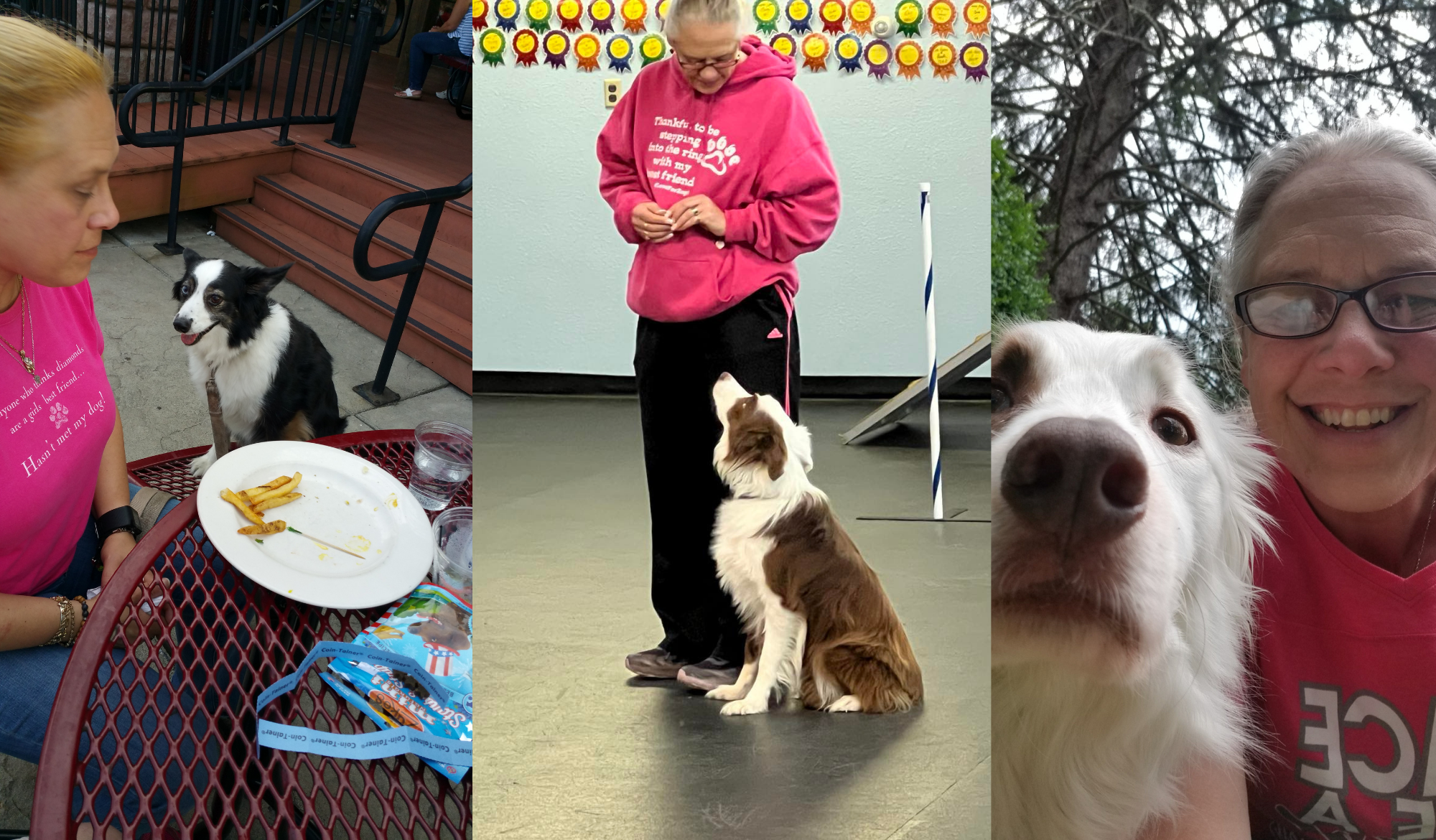 Trainwithoutpain herobanner