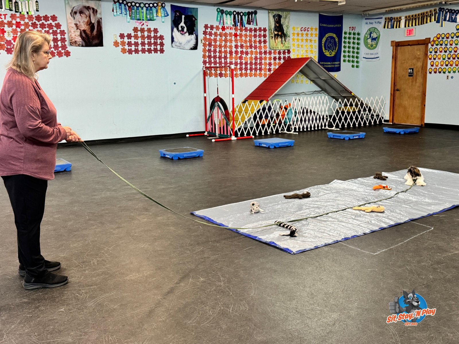 reward-timing-wordpress-optimized