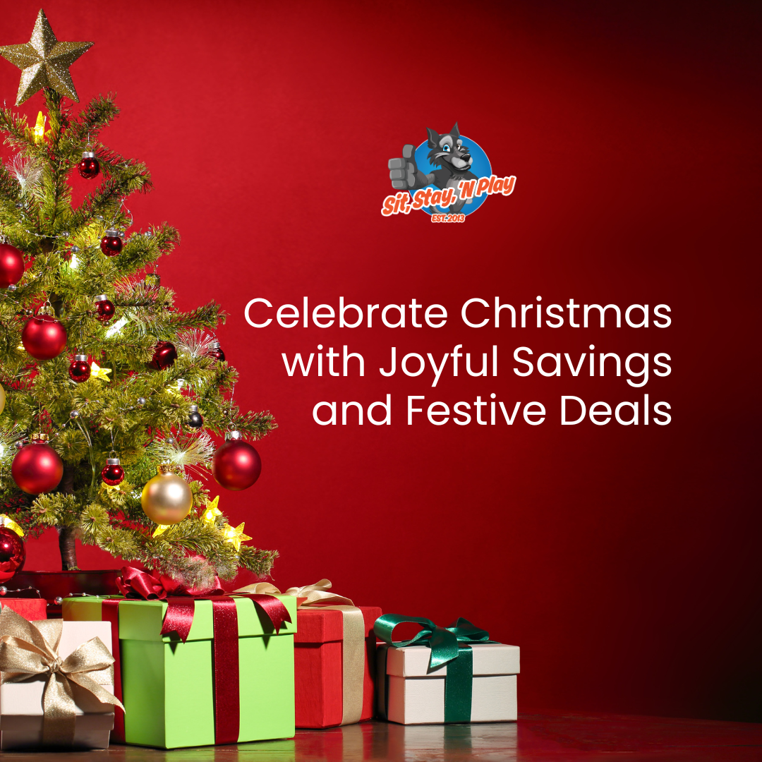 ssnp-christmas-teaser