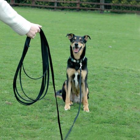 Using a Long Line with Intention